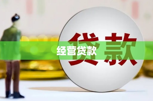 安居经营贷款
