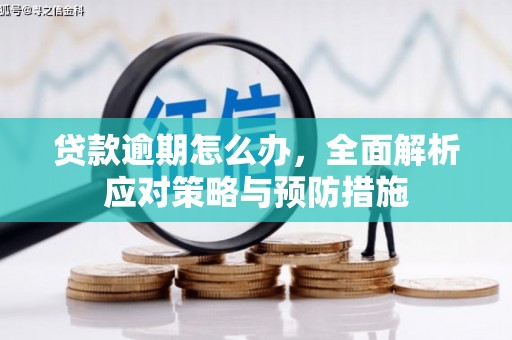 安居贷款逾期怎么办，全面解析应对策略与预防措施
