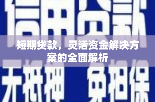安居短期贷款，灵活资金解决方案的全面解析
