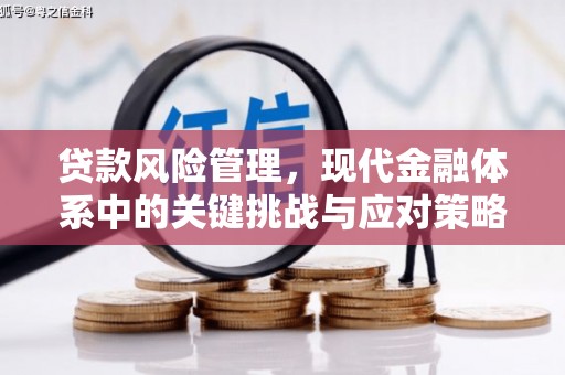 安居贷款风险管理，现代金融体系中的关键挑战与应对策略