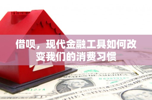 安居借呗，现代金融工具如何改变我们的消费习惯