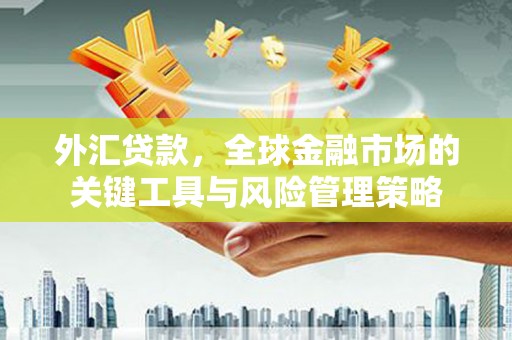 安居外汇贷款，全球金融市场的关键工具与风险管理策略
