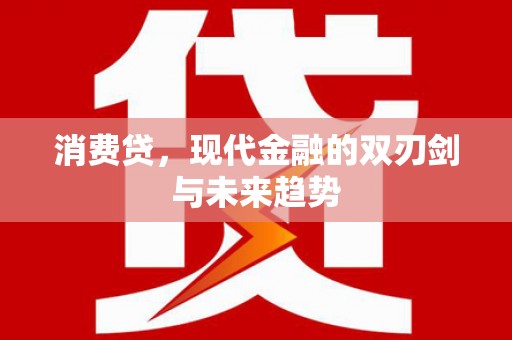 安居消费贷，现代金融的双刃剑与未来趋势