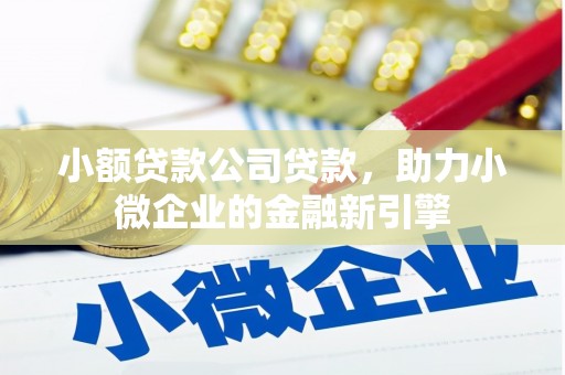 安居小额贷款公司贷款，助力小微企业的金融新引擎