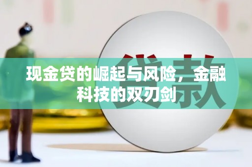 安居现金贷的崛起与风险，金融科技的双刃剑