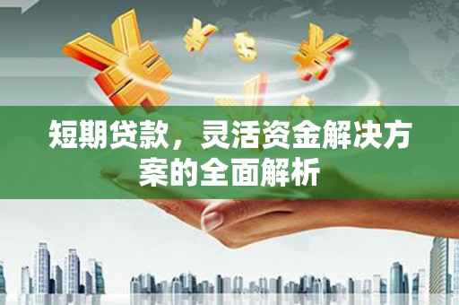 安居短期贷款，灵活资金解决方案的全面解析