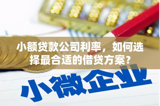 安居小额贷款公司利率，如何选择最合适的借贷方案？