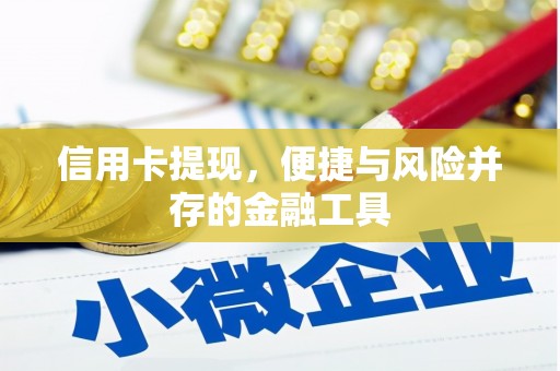 安居信用卡提现，便捷与风险并存的金融工具