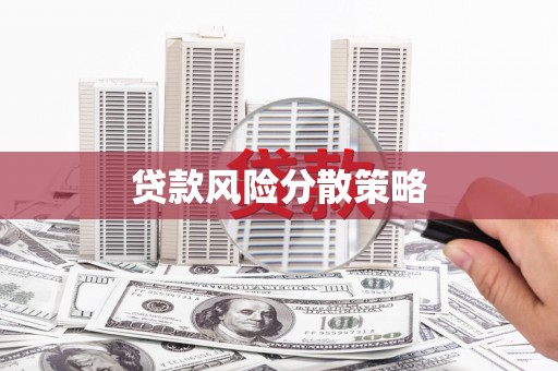 安居贷款风险分散策略
