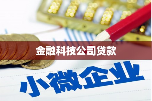 安居金融科技公司贷款