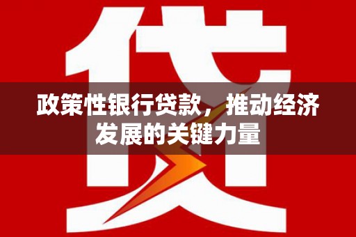 安居政策性银行贷款，推动经济发展的关键力量