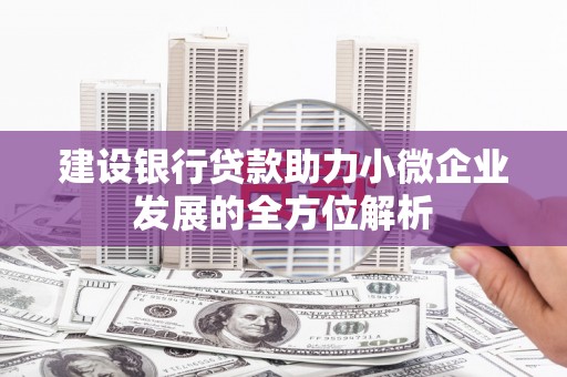 安居建设银行贷款助力小微企业发展的全方位解析
