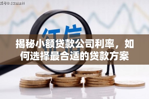 安居揭秘小额贷款公司利率，如何选择最合适的贷款方案