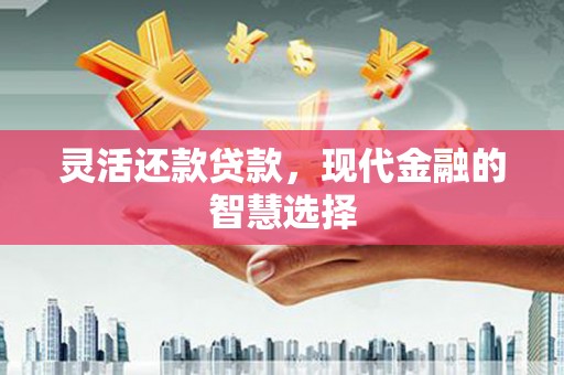 安居灵活还款贷款，现代金融的智慧选择