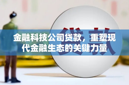 安居金融科技公司贷款，重塑现代金融生态的关键力量
