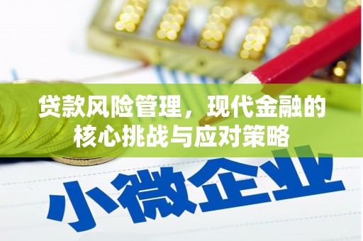 安居贷款风险管理，现代金融的核心挑战与应对策略