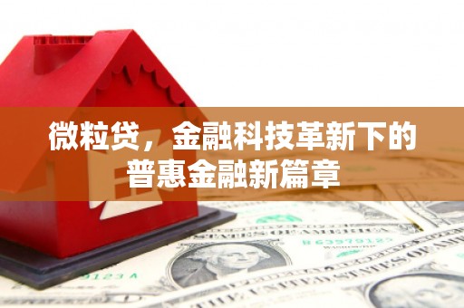 安居微粒贷，金融科技革新下的普惠金融新篇章