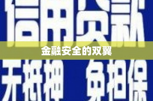 安居金融安全的双翼