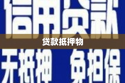 安居贷款抵押物