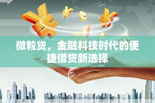 安居微粒贷，金融科技时代的便捷借贷新选择