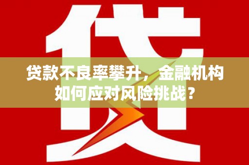 安居贷款不良率攀升，金融机构如何应对风险挑战？