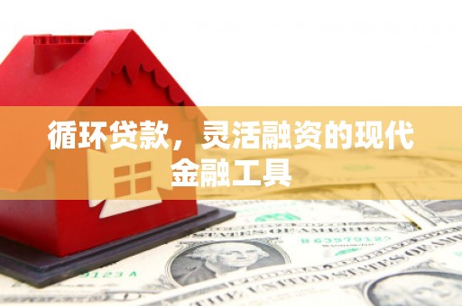 安居循环贷款，灵活融资的现代金融工具