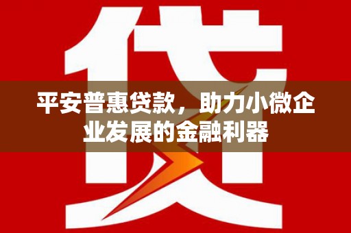 安居平安普惠贷款，助力小微企业发展的金融利器
