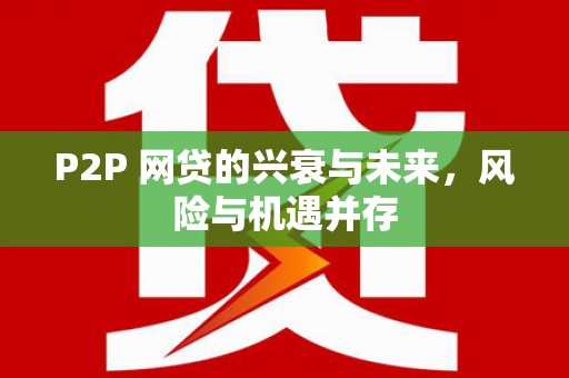 安居P2P 网贷的兴衰与未来，风险与机遇并存