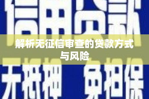 安居解析无征信审查的贷款方式与风险