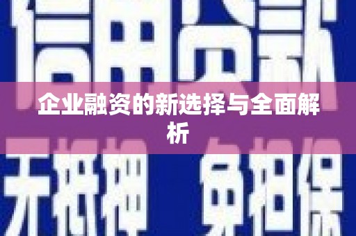 安居企业融资的新选择与全面解析