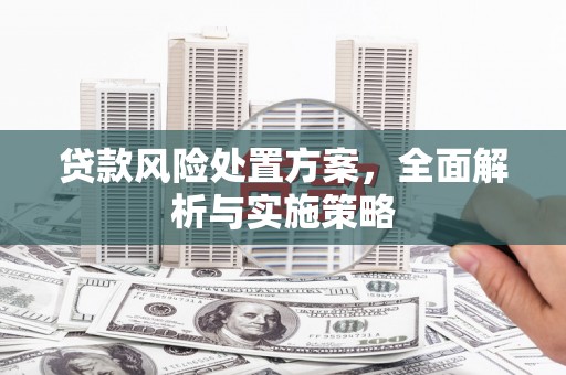 安居贷款风险处置方案，全面解析与实施策略