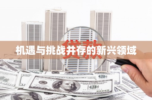 安居机遇与挑战并存的新兴领域